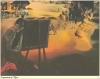 Impressions Of Africa